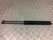 Heckklappe Gasdruckfeder rechts PEUGEOT RCZ 2.0 HDi YM17465080 792527