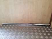 Türverkleidung links hinten VW Passat B7 (362) 3AF839475