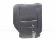 Vordere rechte Feder