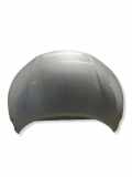 Motorhaube NISSAN JUKE (F16) 1.0