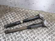 Stoßdämpfer hinten links BMW X2 (U10) iX2 eDrive 20 6897399