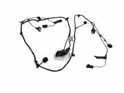 Kabelbaum Citroen C6 (T) 9655439780