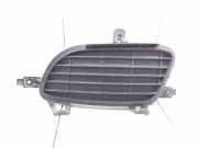 Gitter Grill vorne links MERCEDES-BENZ A (W169) A 180 CDI (169.007, 169.307) 110000027 1698850122