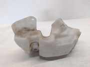 Fensterwaschtank RENAULT LAGUNA III (BT0/1) 2.0 dCi (BT01, BT09, BT12, BT1S) 289100001N