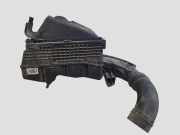 Luftfilterkasten RENAULT LAGUNA Coupe (DT0/1) 2.0 dCi (DT01, DT09, DT12, DT1D) 8200545836H