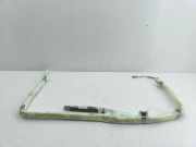 Airbag Dach links BMW X6 (E71, E72) 6979911