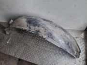 Radhaus links hinten BMW X3 (E83) 3400057