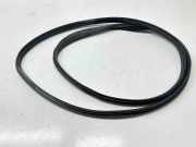 Türgummi links vorne Citroen Jumpy II Kasten () 902522