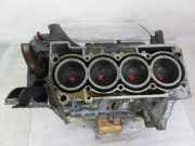 Motorblock SKODA FABIA II Combi (545) 1.2 TSI CBZB