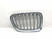 Vorderer oberer Gitter BMW X1 (E84) xDrive 18 d 2993308