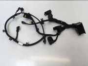 Kabelbaum NISSAN JUKE (F16) 1.0 2517256425