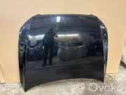 Motorhaube Audi Q5 (8R) 8R0823480