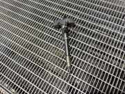 Düsenstöcke Mitsubishi ASX (GA) 1465A323