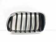 Vorderer oberer Gitter BMW X3 (F25) xDrive 20 d 7210725 7237421
