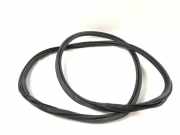 Türdichtung Volvo XC60 II (246) 31424345