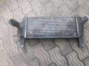 Ladeluftkühler NISSAN NP300 NAVARA (D40) 2.5 dCi 4WD