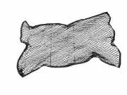 Kofferraum-Abdeckung NISSAN X-TRAIL (T30) 2.2 dCi 4x4