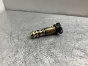 Einlassventil BMW X5 (E70) 7561265