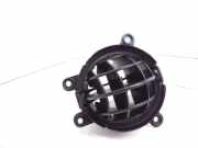 Frischluftgrill FORD FUSION (JU_) 1.4 TDCi 2N1HN018B09ACW