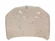 Motorhaube BMW X1 (F48) sDrive 18 d