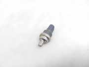 Kühlmitteltemperatursensor VW ID.3 (E11) 1st 05C919501