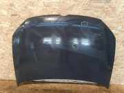 Motorhaube VW POLO (6R, 6C) 1.0