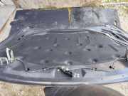 Motorhaube BMW 5er (F10)