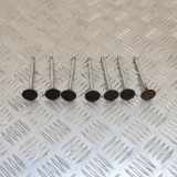 Auslassventile BMW 3 (E90) 320 d n/a