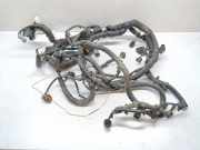 Motor Kabelbaum NISSAN PATHFINDER III (R51) 2.5 dCi 4WD