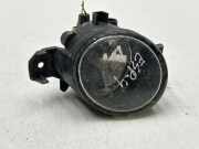 Nebelscheinwerfer links RENAULT ESPACE IV (JK0/1_) 2.2 dCi (JK0H) 8200002469 89201771