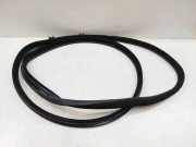 Türdichtungsgummi vorne links MERCEDES-BENZ CLC (CL203) CLC 180 Kompressor (203.746) A2036970551