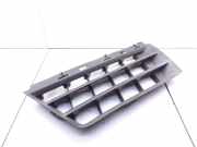 Vorderer oberer Gitter