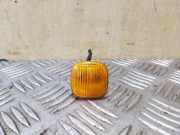 Kotflügelblinker vorne rechts