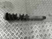 Stoßdämpfer hinten links BMW 5 (E60) 520 d 105413