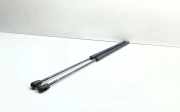 Heckklappe Gasdruckfeder links BMW X1 (E84) xDrive 20 d 2990136