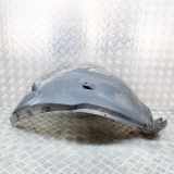 Innenkotflügel vorne links Rückseite DODGE AVENGER 2.0 CRD 05008915AC