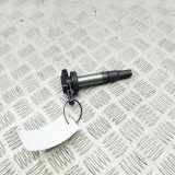 Zündspule JAGUAR XK Coupe (X150) 4.2 XK8 6R83-12A366-AA