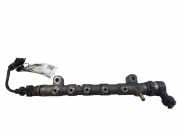 Einspritzleiste Opel Insignia A Sports Tourer (G09) 0445214324