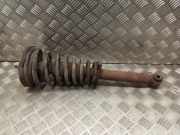 Stoßdämpfer vorne rechts NISSAN PRIMERA Hatchback (P11) 2.0 TD