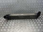 Ladeluftkühler Renault Grand Scenic III (JZ) 144963541R