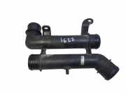 Luftdüsengehäuse Citroen C5 III (RD)