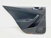 Türpolster hinten links