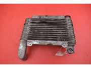 Ladeluftkühler Toyota Yaris Verso (P2) 33010359