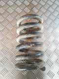 Feder vorne links FORD TRANSIT (T_ _) 2.5 DI (TTE, TTL, TTS, TUL) NMZ1088