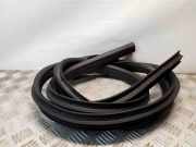 Türgummi rechts hinten Ford S-Max I (WA6)