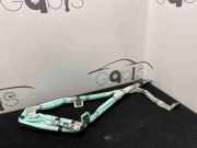 SRS Modul Dach links BMW X5 (F15, F85) xDrive 25 d 728475313 84728475313