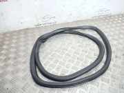 Türdichtung VW Passat B7 (362) 3C5867913B