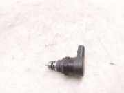 Kraftstoffdruckregler BMW X5 (E53) 4.8 is 0281002481