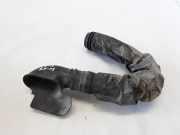 Schlauch für Luftversorgung Renault Megane Scenic (JA) 7700867857