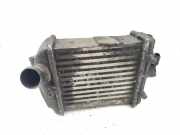 Ladeluftkühler Audi A4 Avant (8E, B6) 0281002399